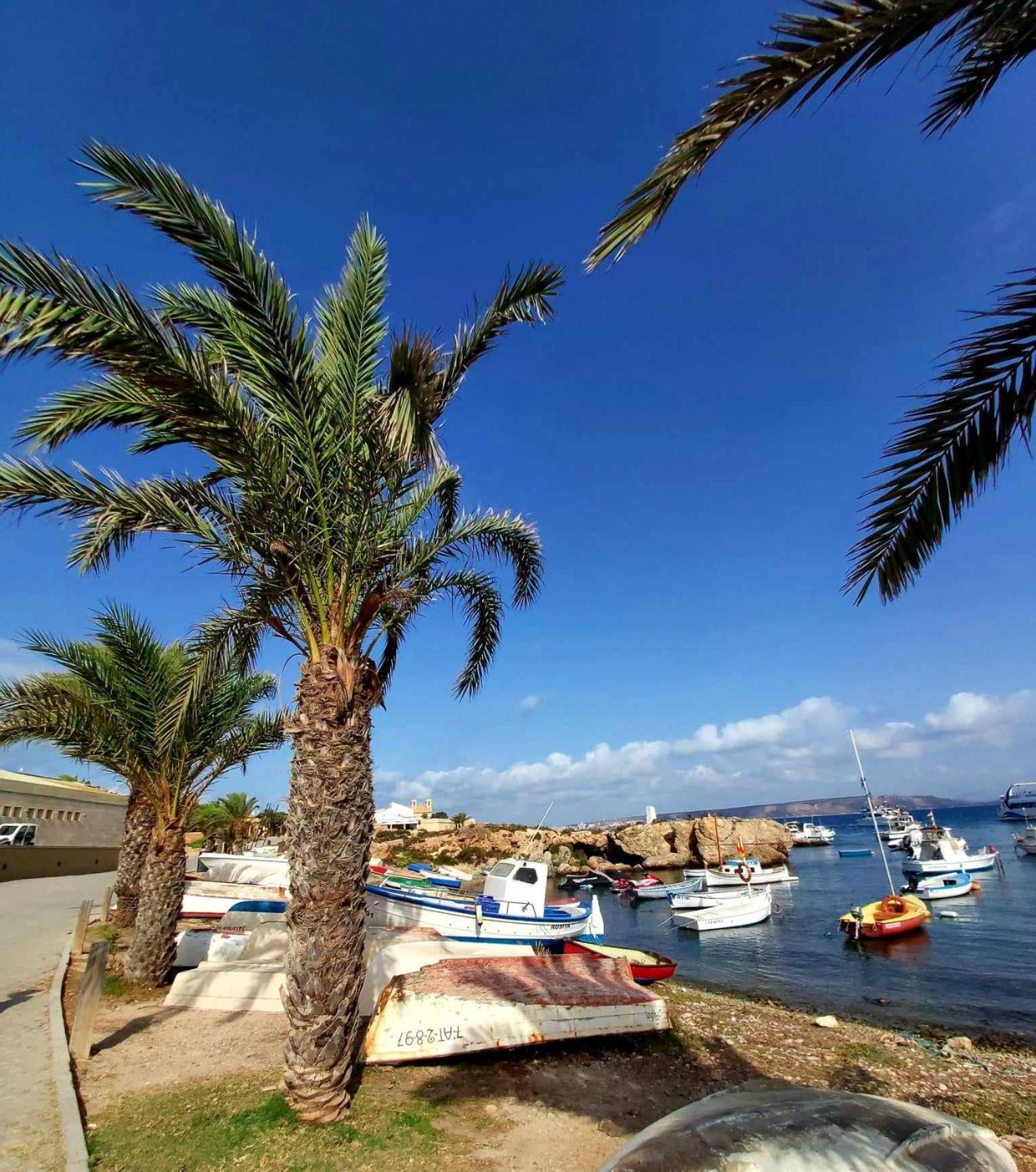 Apartament Alexandro'S Apartment Torrevieja Ngoại thất bức ảnh